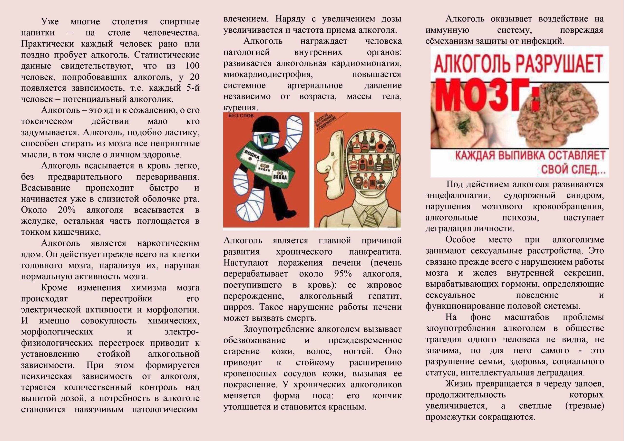Буклет 5_2